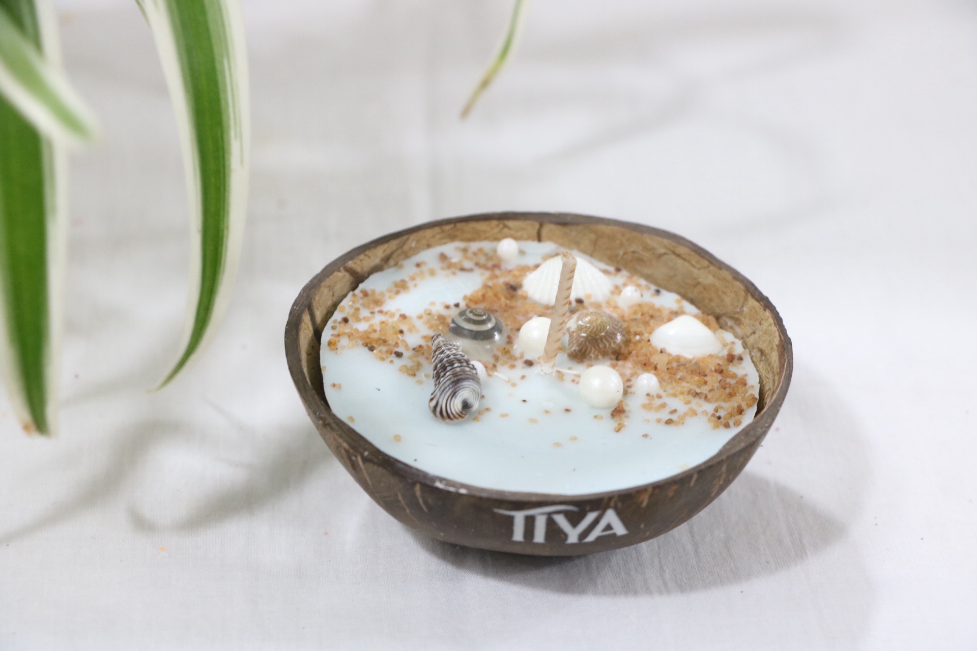 Blue Oceanic Coconut Shell Candle