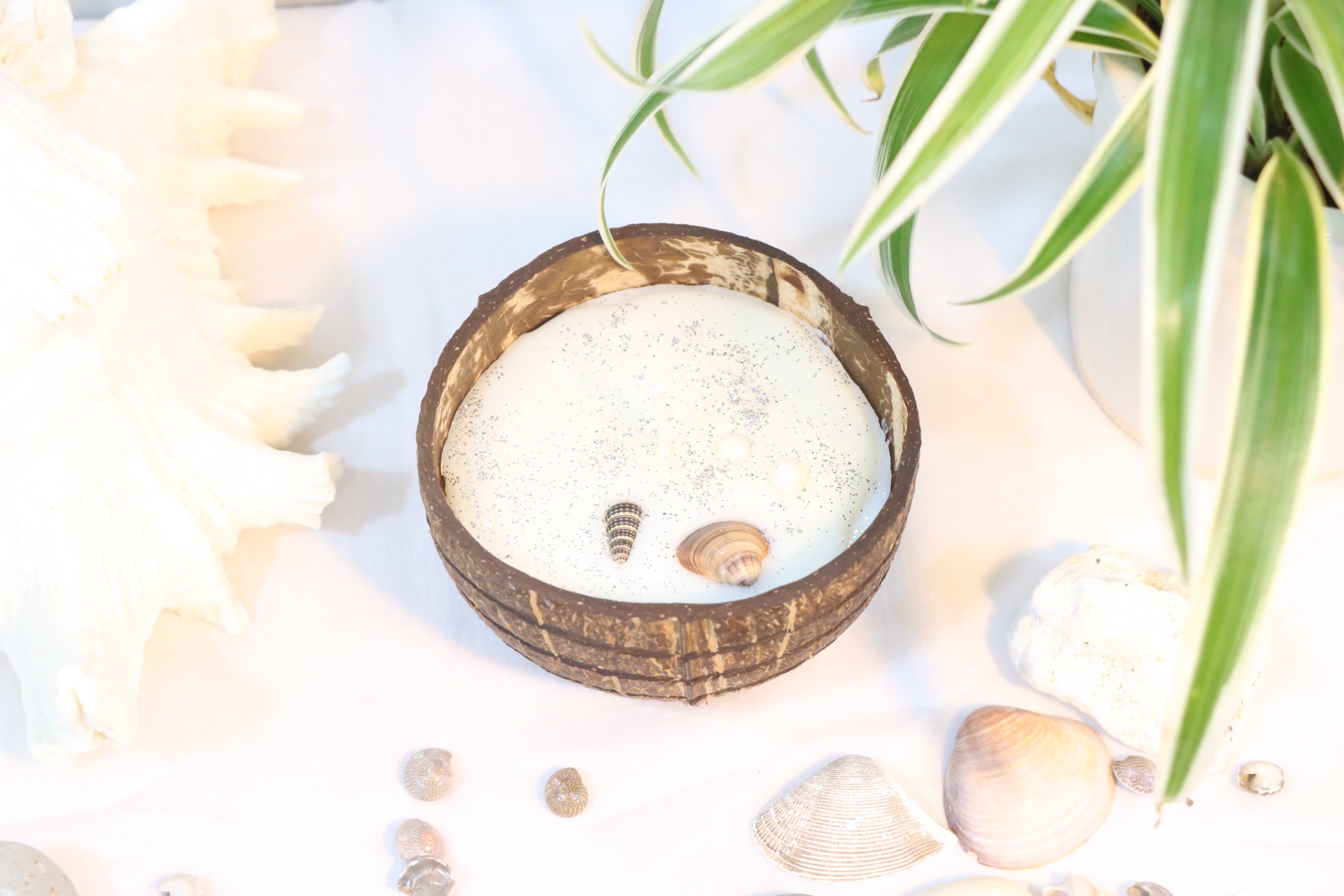 White Oceanic Coconut Shell Candle - Image 3